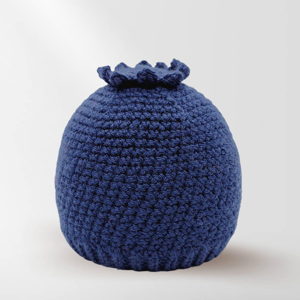 Crochet Blueberry Hat Pattern